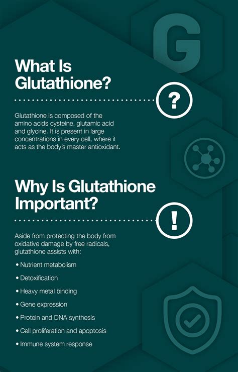 Glutathione: What It Is, Why You Need It, How You Can Increase It – The ...