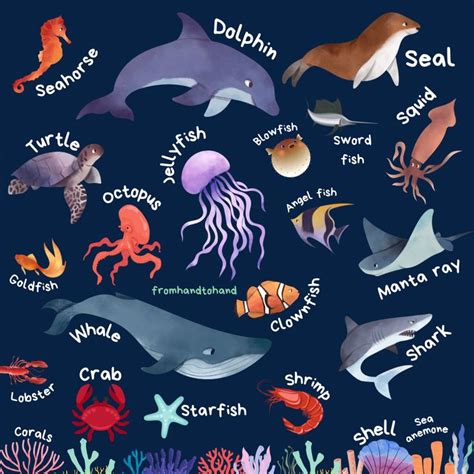 Ocean/Sea Animals, 2024