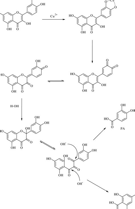 Hypothetical Pathway Of HFR Mediated Quercetin Cleavage Leading To The