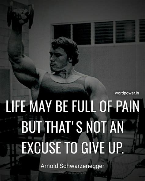 Arnold Schwarzenegger Bodybuilding Motivational Quotes Canvas Etsy - Riset