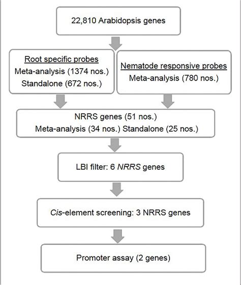 Figure 1 From Identification Validation And Utilization Of Novel