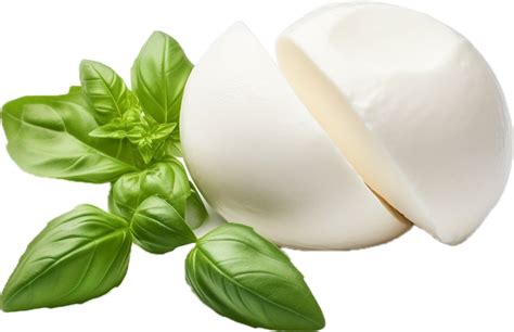 Mozzarella Cheese Png With Ai Generated 34338772 Png