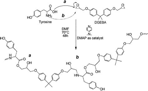 scheme  scheme showing  formation   polymer   reaction