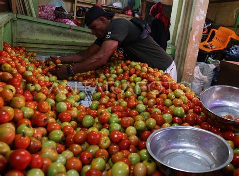 Harga Tomat Naik Di Ternate Antara Foto