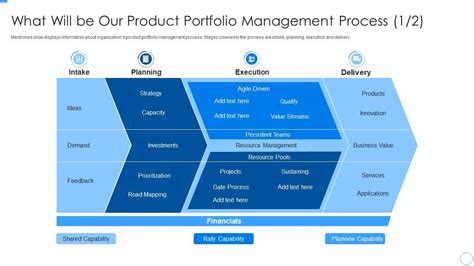 What Will Be Our Product Portfolio Developing Managing Product