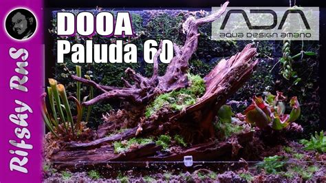 Dooa Paluda Setup Ada Paludarium Youtube