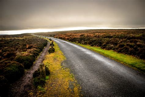 Free Images Landscape Sea Coast Nature Grass Horizon Light