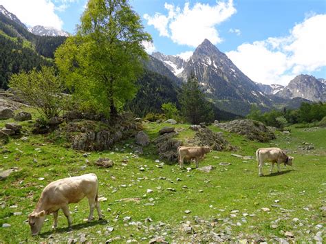 Nos Vamos Al Pirineo Parque Nacional De Aig Estortes