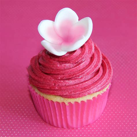 Coco Jo Cake Design Hot Pink Cupcakes