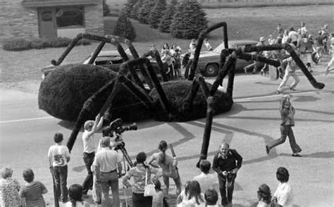 The Giant Spider Invasion 1975 Reviews And Free To Watch Online