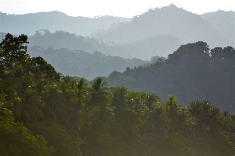 Everything You Need To Know About Costa Rica In The Rainy Season