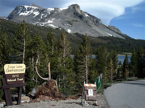 Tioga Lake Campground | Eastern Sierra