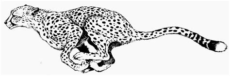 Free Cheetah Clipart Pictures - Clipartix