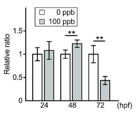 Ros Level In The Pb Exposed 100 Ppb Pb And The Control 0 Ppb Pb Download Scientific Diagram