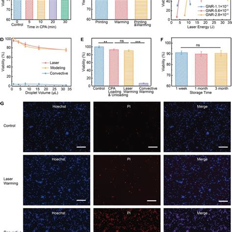 Cryopreservation Of Human Dermal Fibroblast Hdf And Human Umbilical