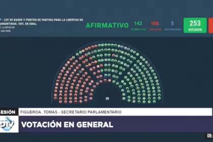 Se Aprob La Ley Bases Arranc El Debate En Particular El Economista