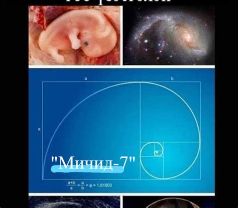 МИЧИД-7 БҮЛХЭМ: УХАМСАРТАЙГАА ХОЛБОГДОХ НЬ: 18-р хэсэг