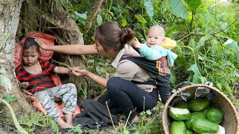 Days Of Harvesting Cassava To Make Cakes Bamboo Shoots And Bananas