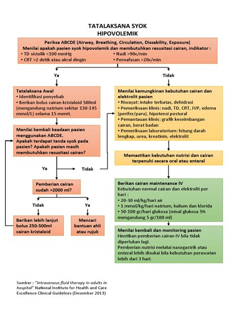 Algoritma Tatalaksana Syok Pdf