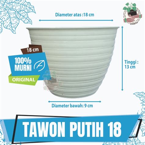 Jual Pot Tawon Putih Ukuran 18 Pot Tanaman Hias Minimalis Budi Jaya