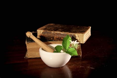 Strange Ways To Heal Medical Curiosities Of Ancient Greece Herbal