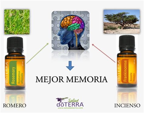 Tienes Falta De Memoria Ohm Collection Deo Dorant Powder Sacred