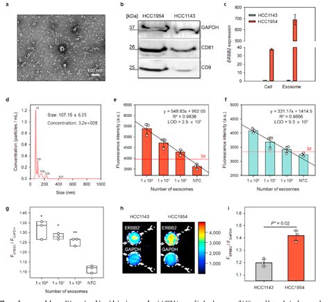 Figure 1 From Microfluidic Device For One Step Detection Of Breast