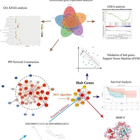 Construction Of The Nomogram Model Based On Gene Signature A