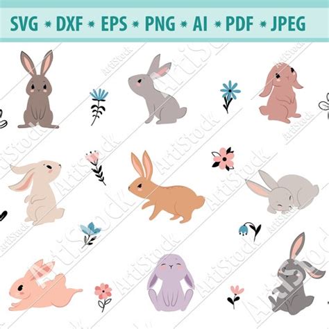 Bunny Rabbit Head Face Svg Eps Png Dxf Clipart For Cricut Etsy