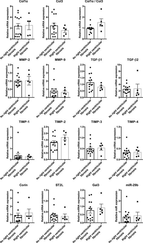 Fibrosis Related Gene Expression In Single Ventricle Heart Disease