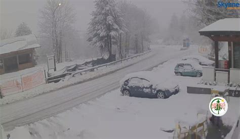 Maltempo Freddo E Vento Forte In Calabria La Neve Abbraccia La Sila