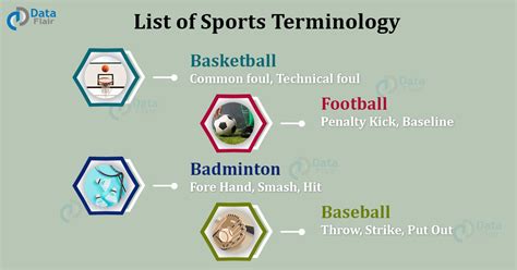 List Of Sports Terminology Important Sports Terms For Sports Fan