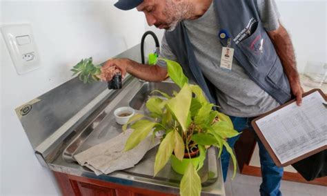 10 Minutos Contra a Dengue é ação estratégica para combater o Aedes