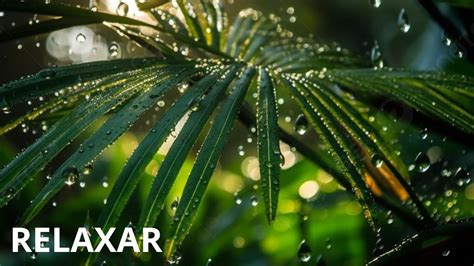 Durma Em Minutos Som De Chuva Para Dormir Musica Para Relaxar