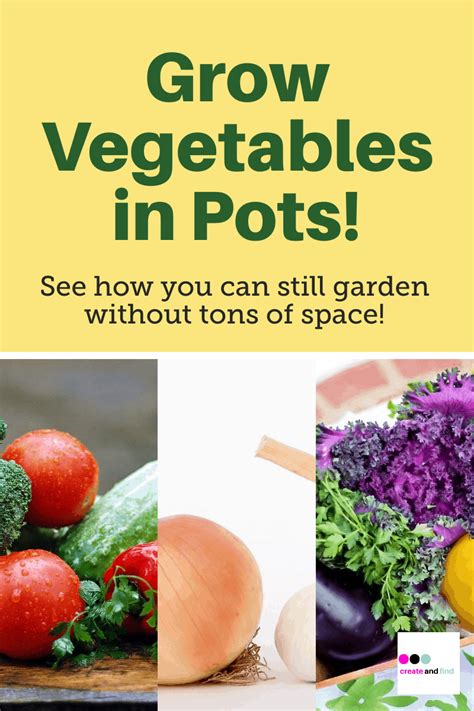 The Perfect Garden Vegetables To Grow In Pots