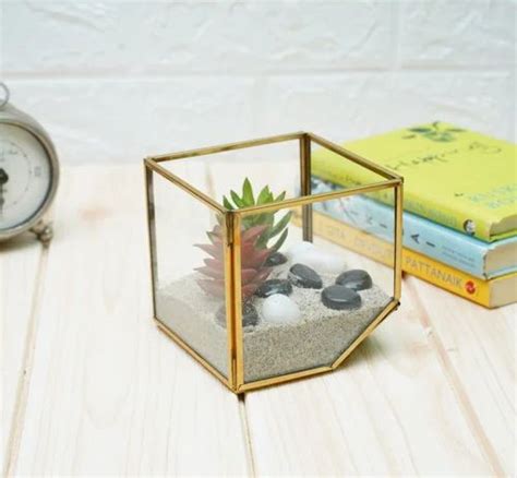 Terrarium Glass Containers With Terrarium Grow Kit Golden Square Glass Terrarium Terrarium