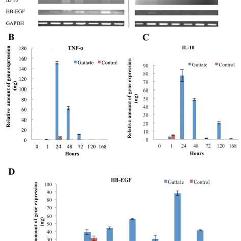 Innate Immune Response Of Psoriasis Through Expression Of Tnf α Il 10 Download Scientific