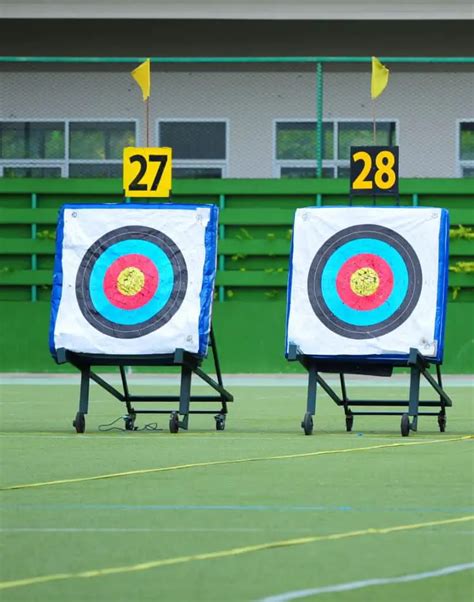 The Differences of Field, Target, and 3D Archery Explained