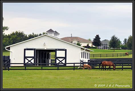 Ocala Central Florida And Beyond Small Horse Farm