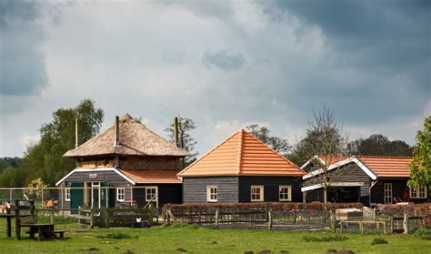 Zorgboerderij De Borkeld Houdt Een Open Dag Al Het Nieuws Uit Rijssen