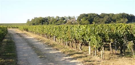 Ch Teau German Marbuzet Crus Et Domaines De France