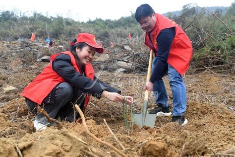 广西罗城：新春植树添新绿助振兴 人民图片网