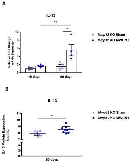 Ijms Free Full Text The M A Macrophage Phenotype Accompanies