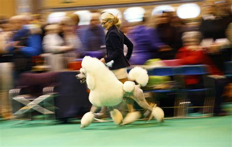 Al com obits birmingham news changes are upsetting subscribers 14