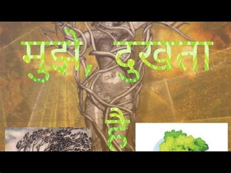 Na Kato Mujhe Dukhata Hai Hindi Lyrics Song