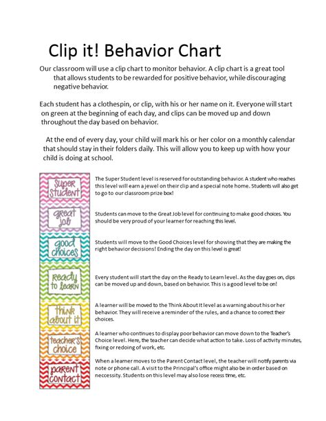 Daily Behavior Chart Template