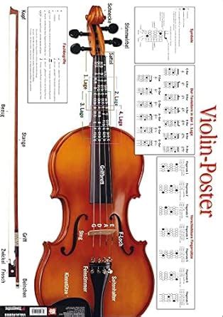 Violin Poster Violine 9783802405082 Amazon Books