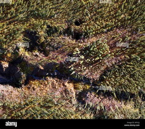 Melting permafrost hi-res stock photography and images - Alamy