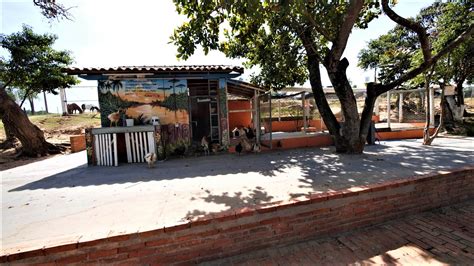 Sitio Haras De Hectares A Venda Em Porto Feliz Sp Viva Rural