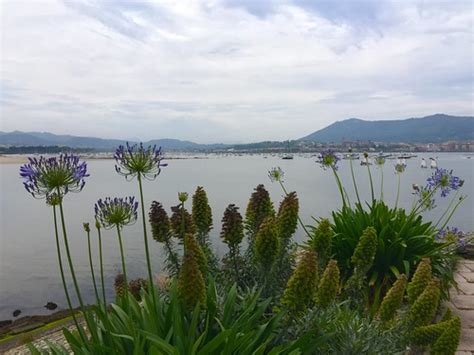 Hendaye Baie De Chingoudy Maricl Flickr